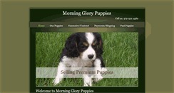 Desktop Screenshot of morningglorypuppies.com